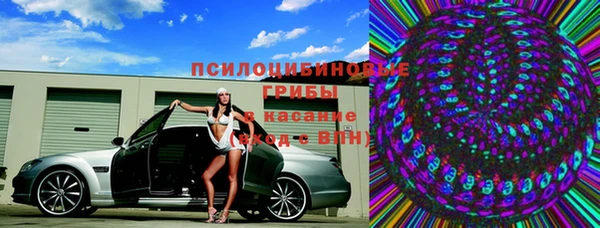 шишки Абинск