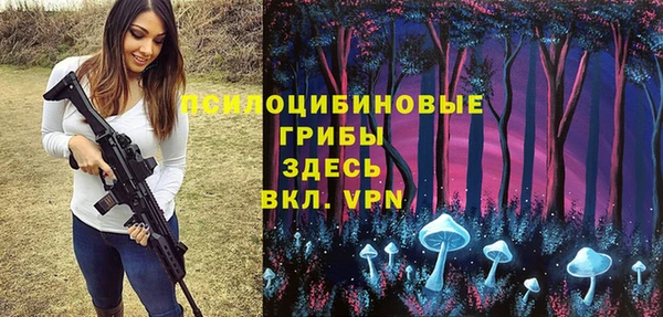 шишки Абинск