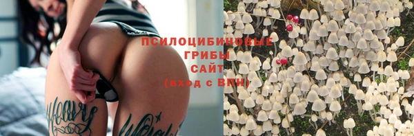 каннабис Абаза