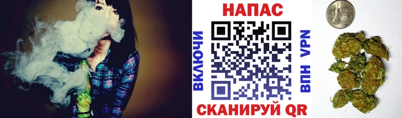 Бошки марихуана семена  Никольск 